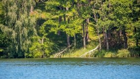 Jezioro Jegocin - zdjęcie 5