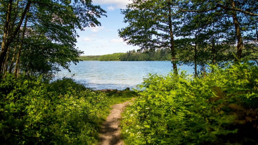 Jezioro Jegocin - zdjęcie 1