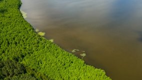 Jezioro Pogubie Wielkie - zdjęcie 17