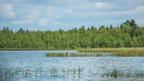 Jezioro Pogubie Wielkie - zdjęcie 16