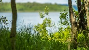 Jezioro Pogubie Wielkie - zdjęcie 14