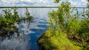 Jezioro Pogubie Wielkie - zdjęcie 11