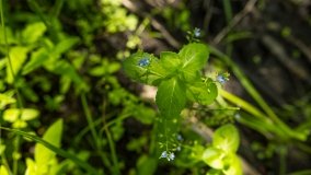 Jezioro Pogubie Wielkie - zdjęcie 10