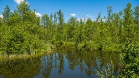 Jezioro Pogubie Wielkie - zdjęcie 8