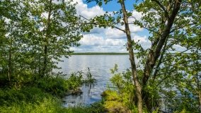 Jezioro Pogubie Wielkie - zdjęcie 7