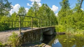 Jezioro Pogubie Wielkie - zdjęcie 6