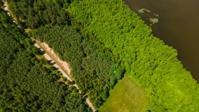 Jezioro Pogubie Wielkie - zdjęcie 5