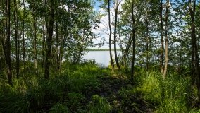 Jezioro Pogubie Wielkie - zdjęcie 4