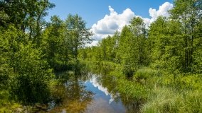 Jezioro Pogubie Wielkie - zdjęcie 2