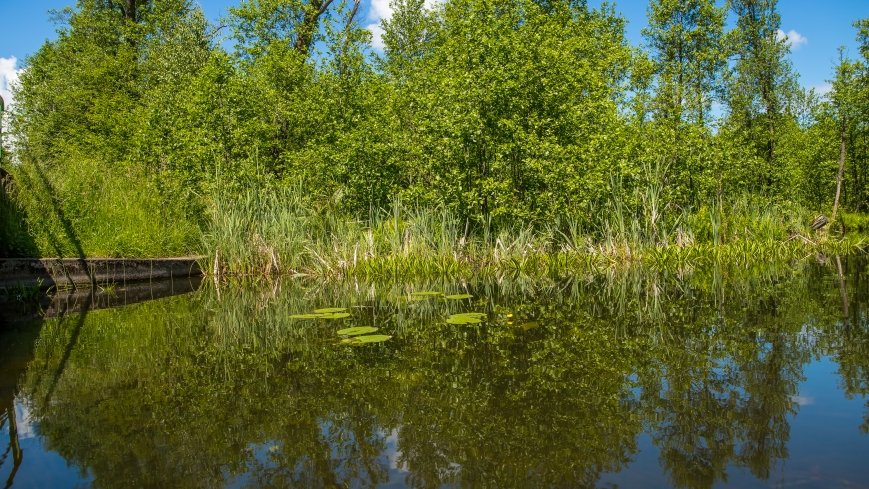 Jezioro Pogubie Wielkie - zdjęcie 1