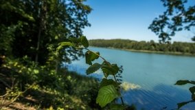 Jezioro Rogale - zdjęcie 16