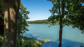 Jezioro Rogale - zdjęcie 6