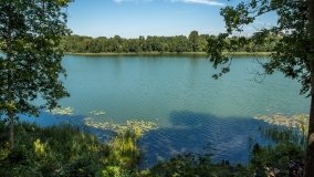 Jezioro Rogale - zdjęcie 4