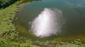 Jezioro Zierczyk - zdjęcie 3