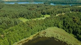 Jezioro Zierczyk - zdjęcie 2