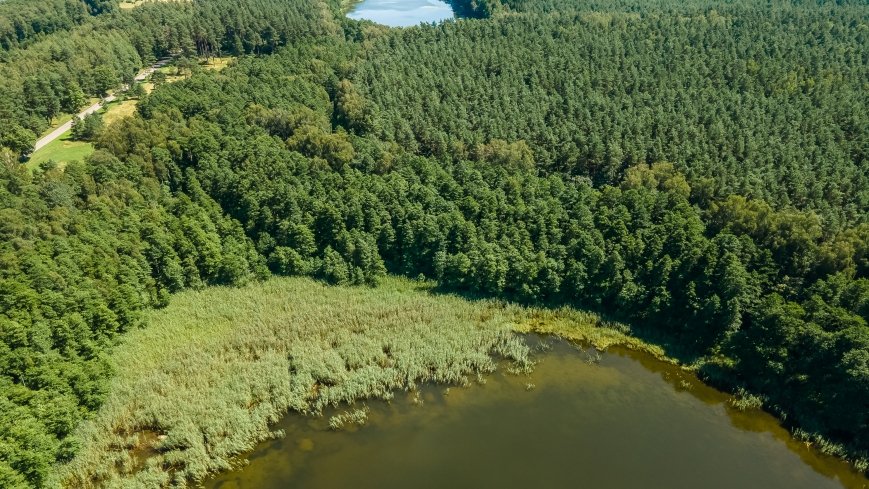 Jezioro Zierczyk - zdjęcie 1