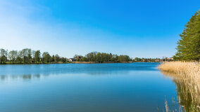 Jezioro Paproteckie - zdjęcie 36