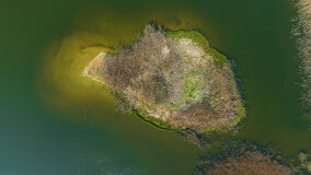 Jezioro Paproteckie - zdjęcie 33