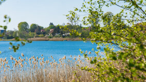 Jezioro Paproteckie - zdjęcie 29