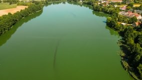 Jezioro Miłkowskie - zdjęcie 16