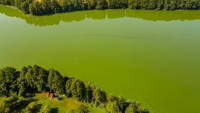 Jezioro Miłkowskie - zdjęcie 13