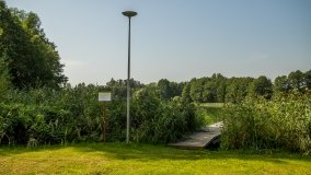 Jezioro Miłkowskie - zdjęcie 8