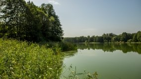 Jezioro Miłkowskie - zdjęcie 6