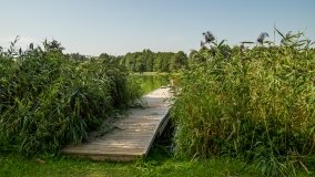 Jezioro Miłkowskie - zdjęcie 3