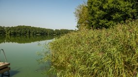 Jezioro Miłkowskie - zdjęcie 2