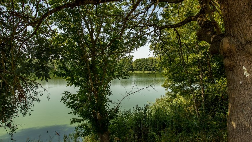 Jezioro Miłkowskie - zdjęcie 1