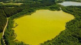 Jezioro Skarż Wielki - zdjęcie 13