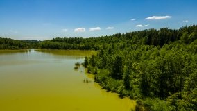 Jezioro Skarż Wielki - zdjęcie 12