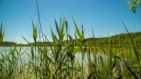 Jezioro Skarż Wielki - zdjęcie 10