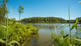 Jezioro Skarż Wielki - zdjęcie 8