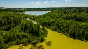 Jezioro Skarż Wielki - zdjęcie 7