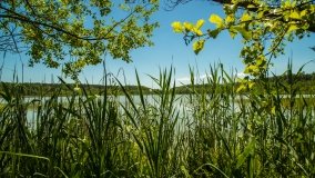 Jezioro Skarż Wielki - zdjęcie 6