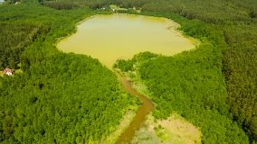 Jezioro Skarż Wielki - zdjęcie 5