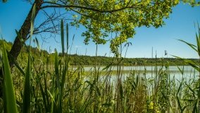 Jezioro Skarż Wielki - zdjęcie 4