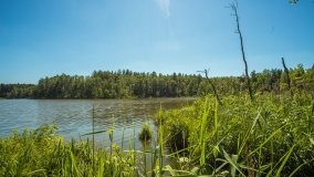 Jezioro Skarż Wielki - zdjęcie 2