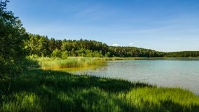 Jezioro Warniak - zdjęcie 18