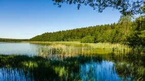 Jezioro Warniak - zdjęcie 16