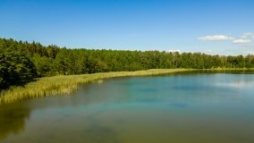 Jezioro Warniak - zdjęcie 11