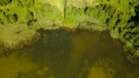 Jezioro Warniak - zdjęcie 10