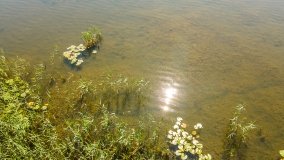 Jezioro Warniak - zdjęcie 9