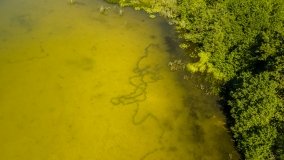 Jezioro Warniak - zdjęcie 6