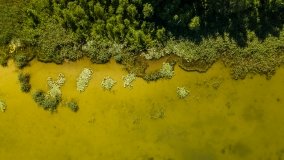 Jezioro Warniak - zdjęcie 3