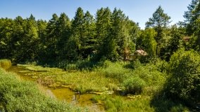 Jezioro Warniak - zdjęcie 2