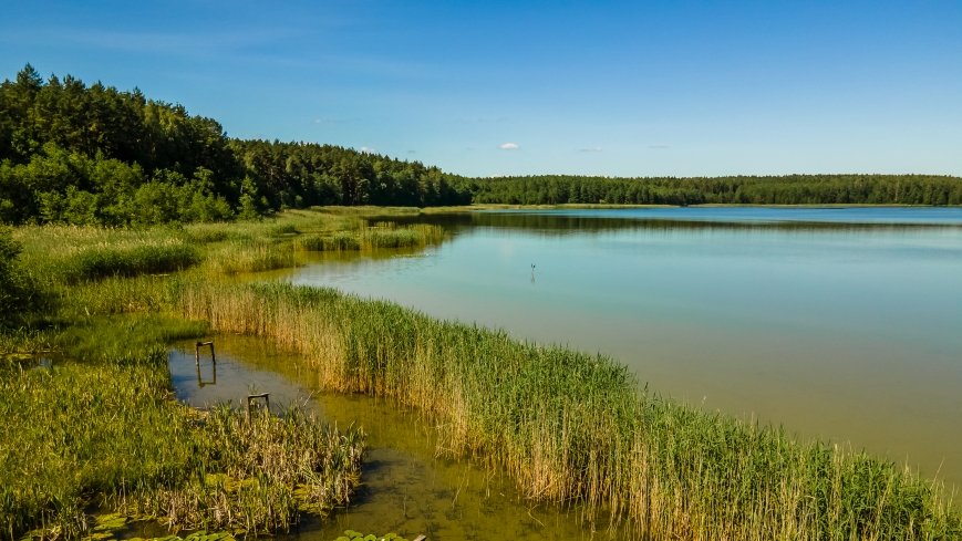 Jezioro Warniak - zdjęcie 1