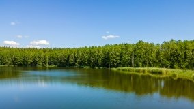 Jezioro Dgał Mały - zdjęcie 20