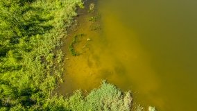 Jezioro Dgał Mały - zdjęcie 17